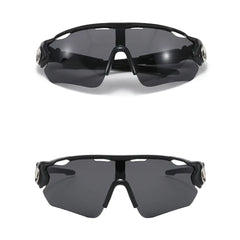 Polarized Sunglasses